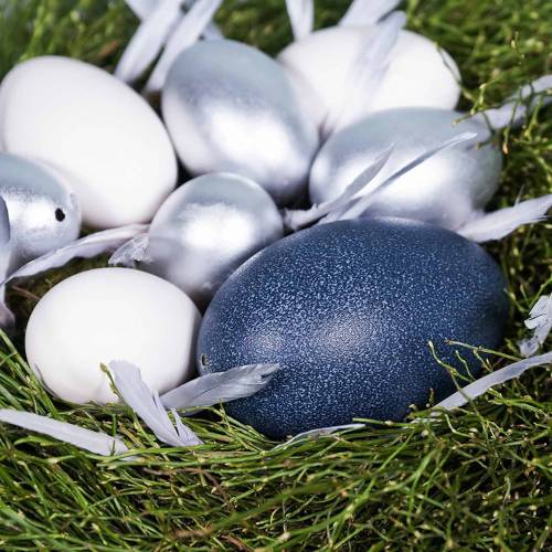 Floristik24 Emu egg natural 12cm - 14cm 1p