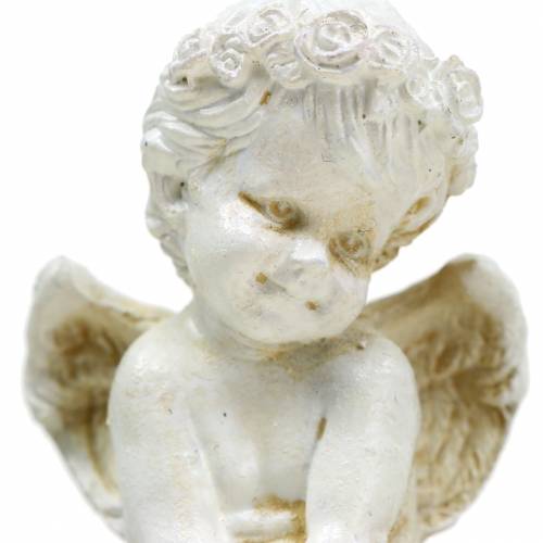 Floristik24 Angel Edge Sitter H8cm 4 pcs