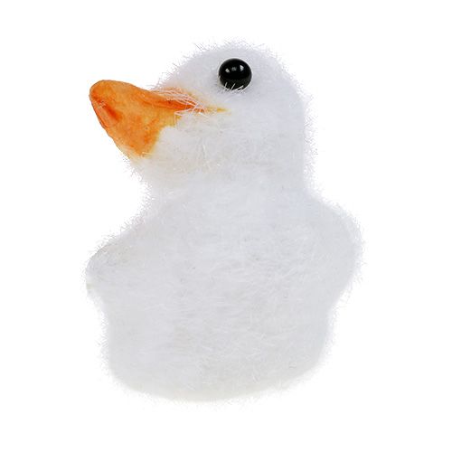 Floristik24 Duck mini flocked 4cm white 12pcs