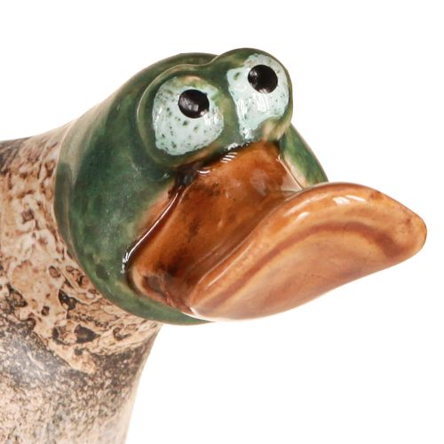 Floristik24 Duck Decoration Ceramic Spring Drake Brown Green L15cm 2 Pcs