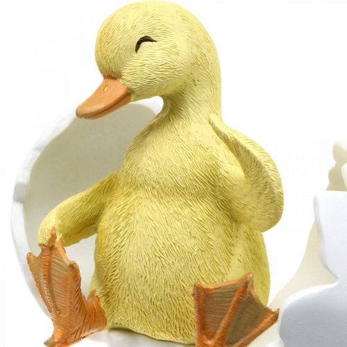 Floristik24 Hatched chick, duck figure, duckling in egg H10cm W12.5cm