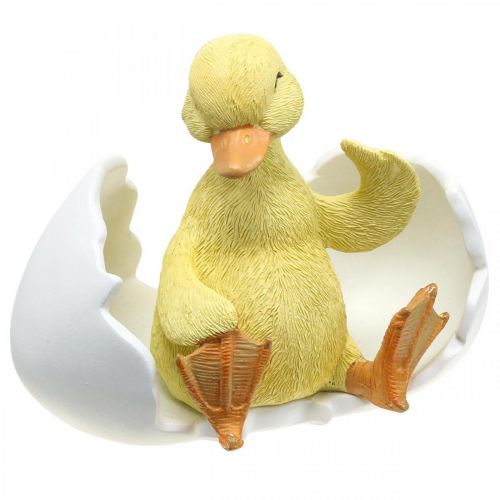 Floristik24 Hatched chick, duck figure, duckling in egg H10cm W12.5cm
