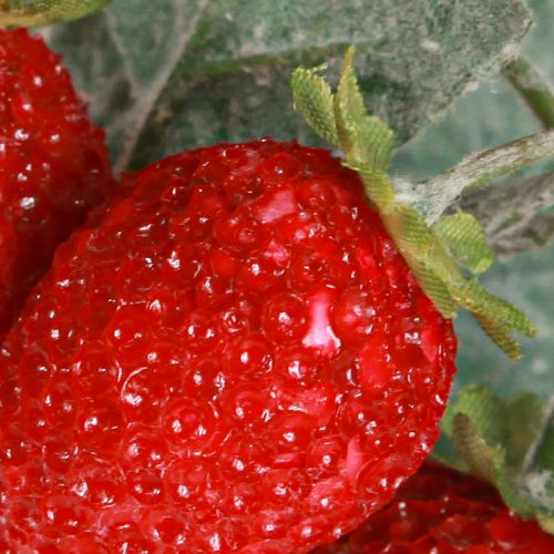 Product Artificial Strawberries, Set of 6 - A Long-Lasting Decorative Item, 23cm