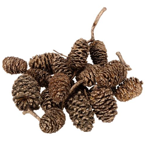Alder cones, natural product for decoration and crafting, gold, 3cm, 300g