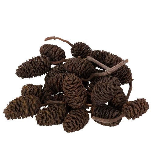 Natural alder cones, loose, for decoration, 3cm, 300g, natural brown.