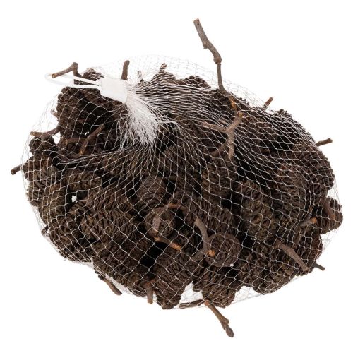 Natural alder cones, loose,
