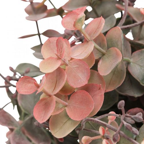 Floristik24 Eucalyptus Bush Artificial Eucalyptus Red Green 25cm 3pcs