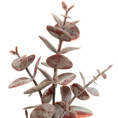 Floristik24 Eucalyptus artificial Burgundy 32cm Artificial plant like real!