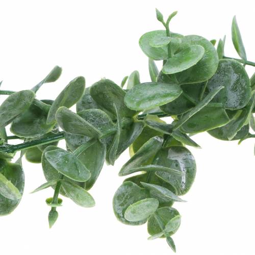 Floristik24 Eucalyptus Garland Green 180cm