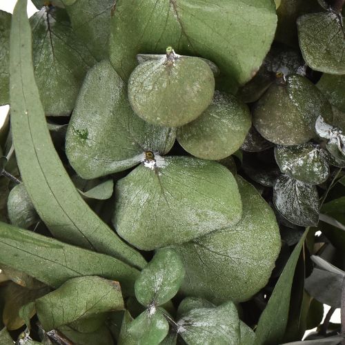 Product Eucalyptus natural wreath Ø35cm preserved scented decoration