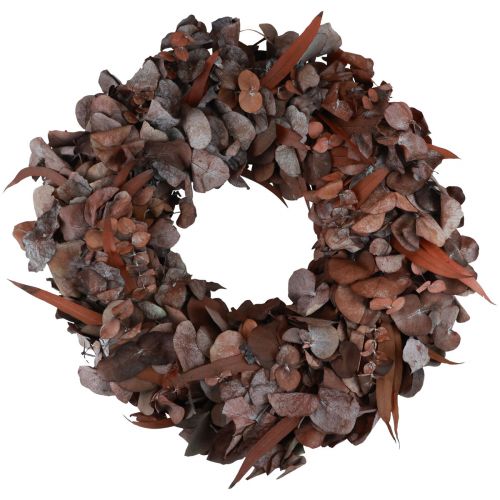Floristik24 Eucalyptus wreath natural wreath eucalyptus preserved red Ø33cm