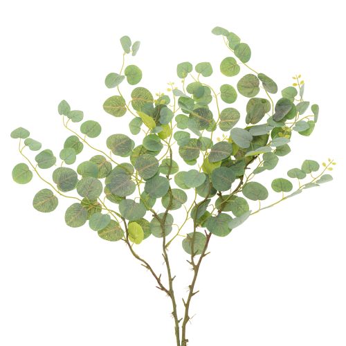 Floristik24 Decorative eucalyptus branch, ideal table decoration, 120cm