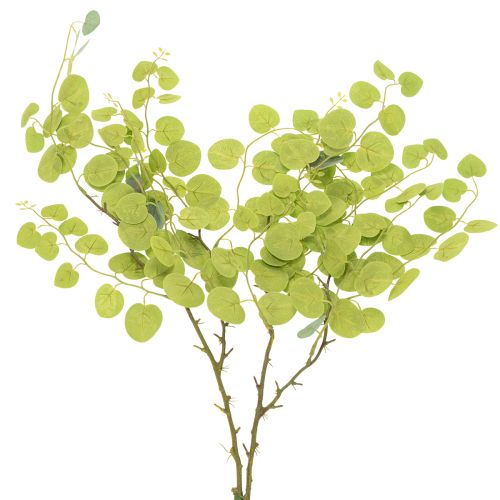 Product Decorative eucalyptus branch, ideal table decoration, 120cm