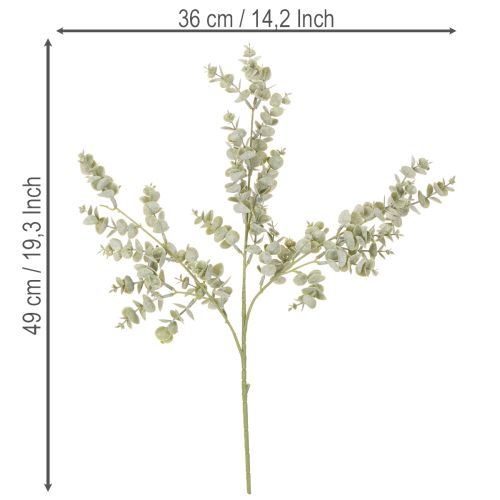 Artificial eucalyptus branch, decorative branch for vases and bouquets, 49cm, 4 pieces | Floristik24.ie