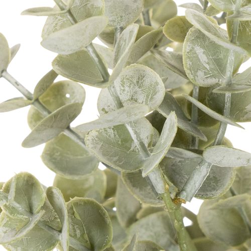 Artificial eucalyptus branch, decorative branch for vases and bouquets, 49cm, 4 pieces | Floristik24.ie