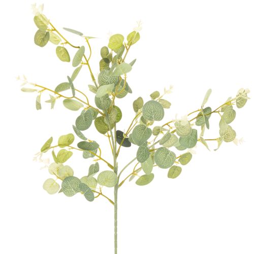 Artificial eucalyptus branch with round leaves, 75cm, 4 pieces buy online | Floristik24.ie