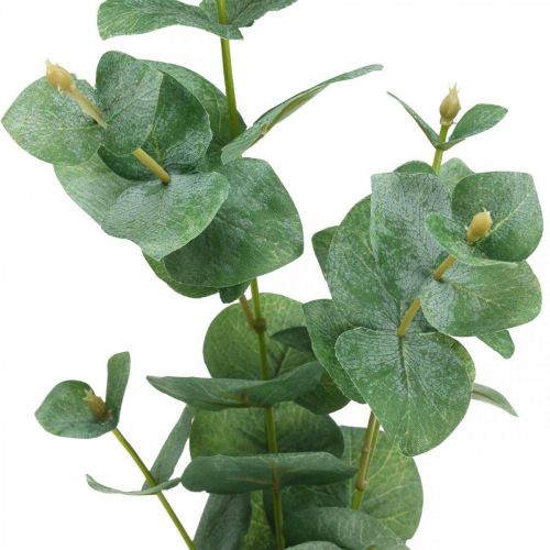 Floristik24 Eucalyptus Branch Artificial Green Plant Eucalyptus Deco 75cm