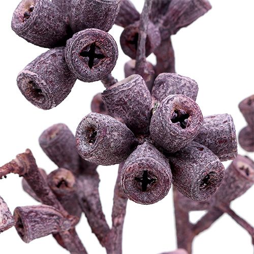 Product Eucalyptus branch blackberry frosted 25 pcs