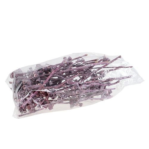 Product Eucalyptus branch blackberry frosted 25 pcs