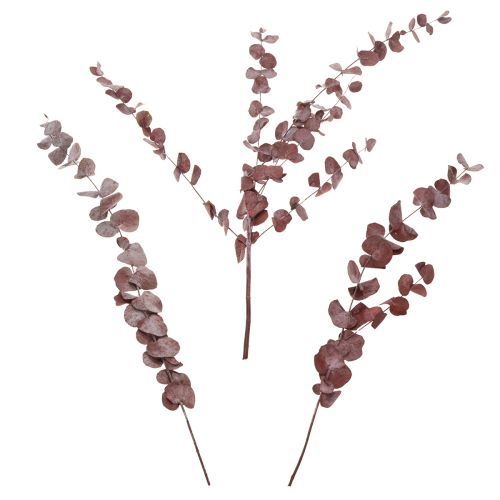 Product Eucalyptus branches, preserved eucalyptus, dried flowers, red, 75cm, 150g