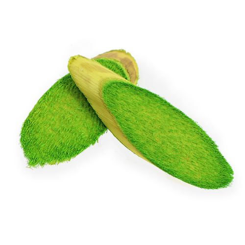 Floristik24 Decorative wooden discs spring green 300g