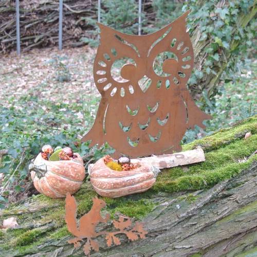Owl patina on birch trunk 42cm x 36cm