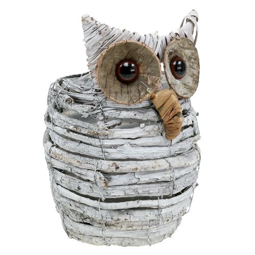 Product Owl for planting White 23cm