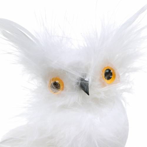 Floristik24 Decorative owl on clip white 10cm 4pcs