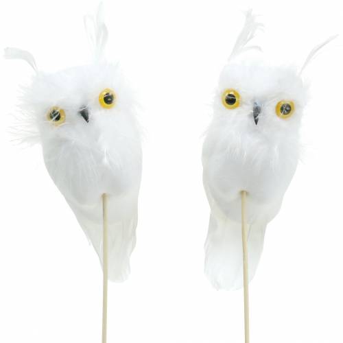 Floristik24 Decorative plug owl white 10cm 2pcs