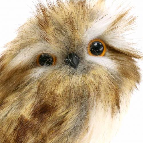 Floristik24 Decorative Owl with Fur and Feathers Brown, White 15cm