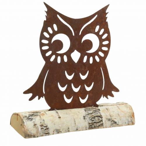 Floristik24 Owl patina on birch trunk 18cm x 17cm