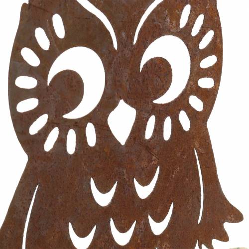 Floristik24 Owl patina on birch trunk 18cm x 17cm