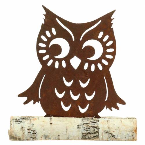 Floristik24 Owl patina on birch trunk 18cm x 17cm