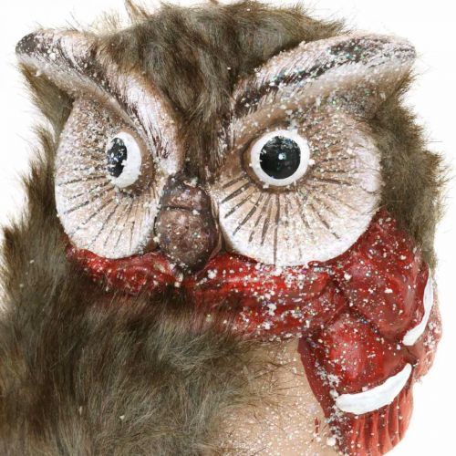 Floristik24 Decorative Owl Ceramic with Scarf Decorative Figures Winter H15cm 2 Pcs