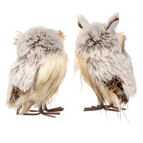 Floristik24 Owl Figures Decoration Owl Pair in Cream Brown 15cm 2 Pcs