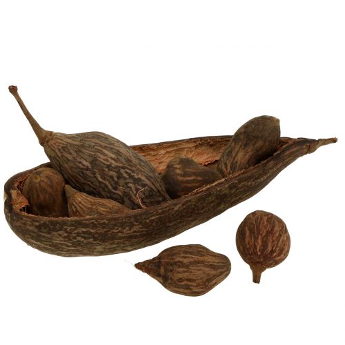 Floristik24 Baobab fruit mix with shell 300g