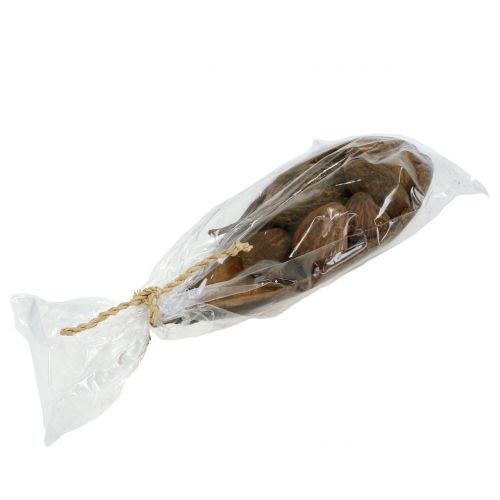 Floristik24 Baobab fruit mix with shell 300g