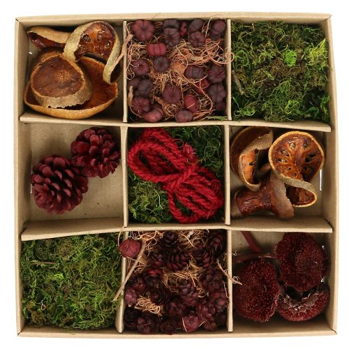 Floristik24 Exotic mix craft set