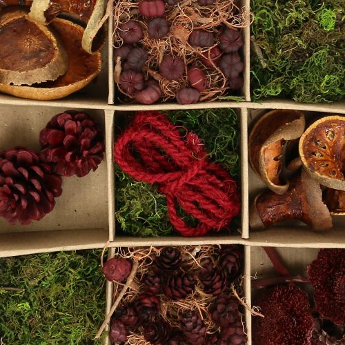 Floristik24 Exotic mix craft set