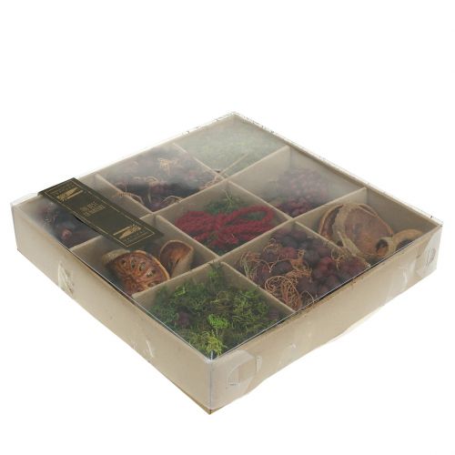 Floristik24 Exotic mix craft set