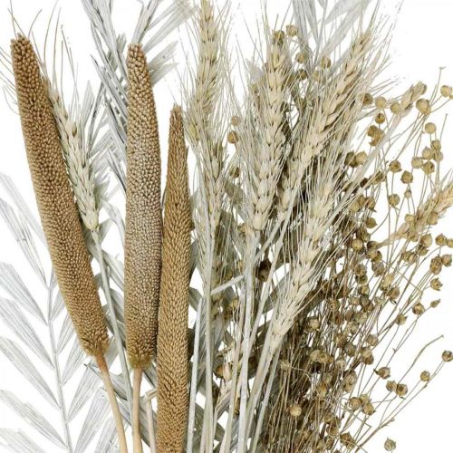 Floristik24 Dried Flowers DIY Box Exotic Dry Bouquet White, Natural H55cm