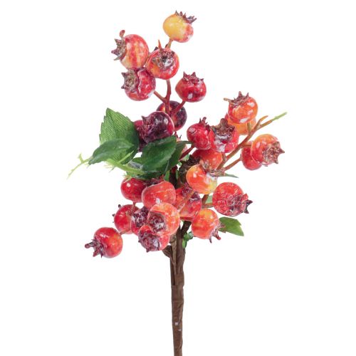 Rosehip deco Rosehip branch Artificial deco branch 35cm