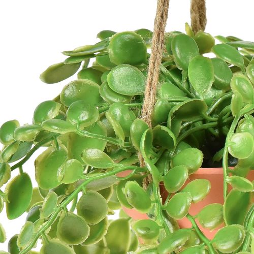 Floristik24 Artificial succulents in pot Sedum hanging basket 34cm