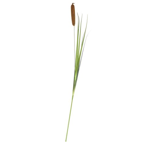 Floristik24 Artificial plants, cattail artificial, reed decoration 92cm