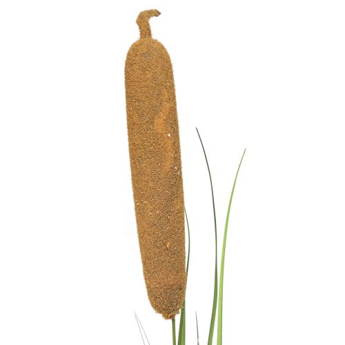 Floristik24 Artificial plants, cattail artificial, reed decoration 92cm