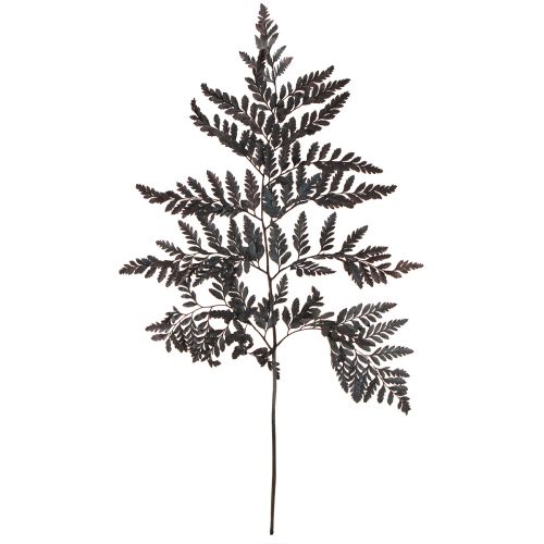 Floristik24 Fern Decoration Real Fern Fronds Black Preserved 45cm 10 Pcs