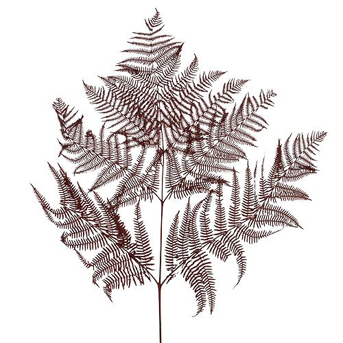 Fern dyed red 15 pcs