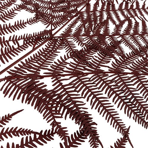 Floristik24 Fern dyed red 15 pcs