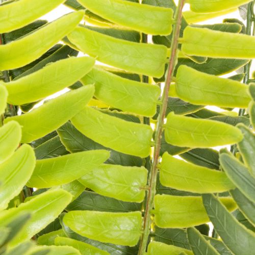 Artificial fern branch, artificial green plant for decoration, 45cm | Floristik24.ie