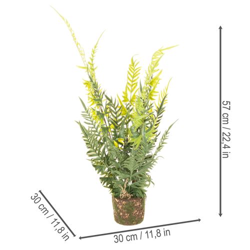 Artificial fern plant with root ball for home and office decoration, 57cm | Floristik24.ie